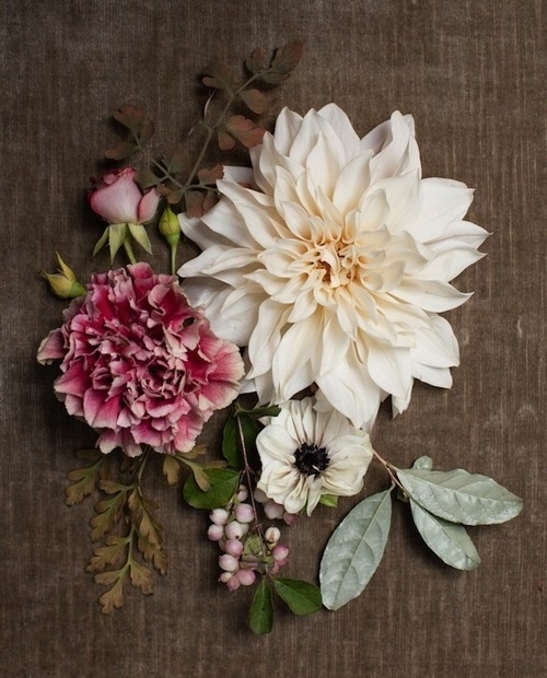 Flower arrangement Flower arrangement