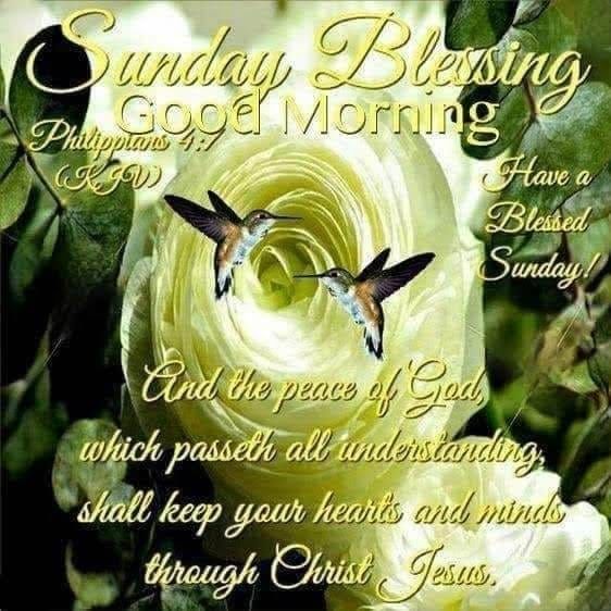Sunday Blessing And Good Morning Pictures, Photos, and Images for