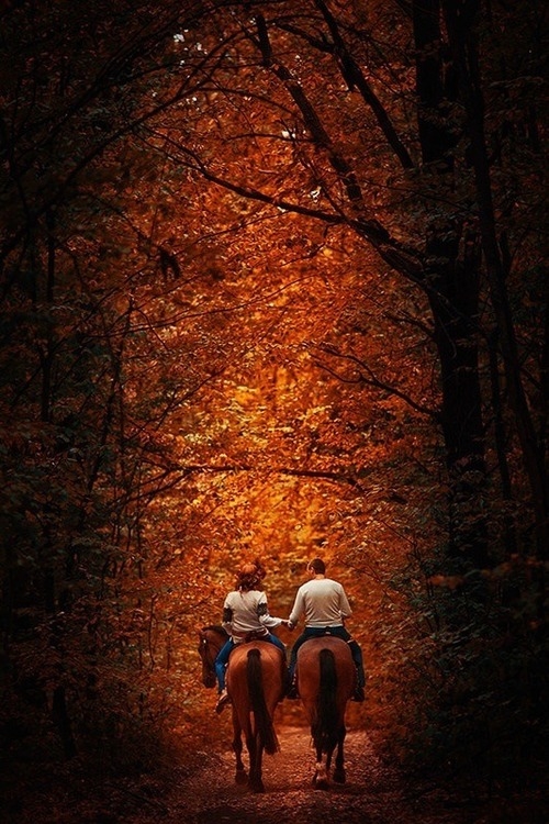 Horseback love
