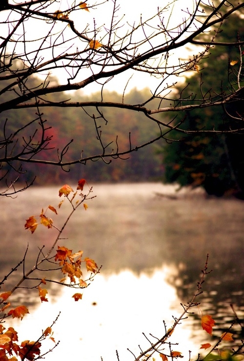 Autumn clearing Autumn clearing