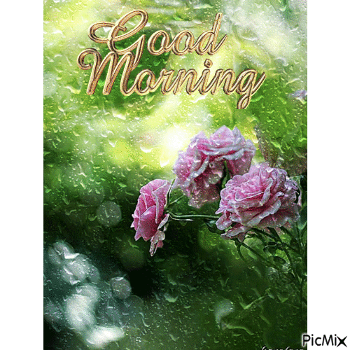 Falling Rain Good Morning Gif Pictures, Photos, and Images for Facebook ...