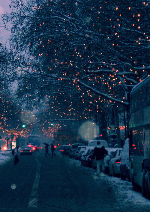 Wintery lights Wintery lights