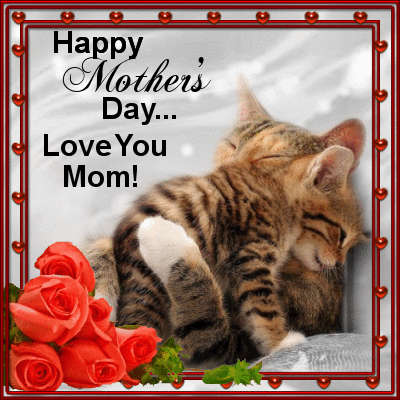 Hugging Kittens - Happy Mother's Day Gif Pictures, Photos, and Images ...