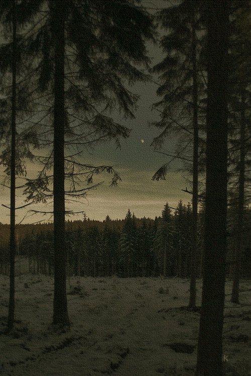 Dark night Dark night