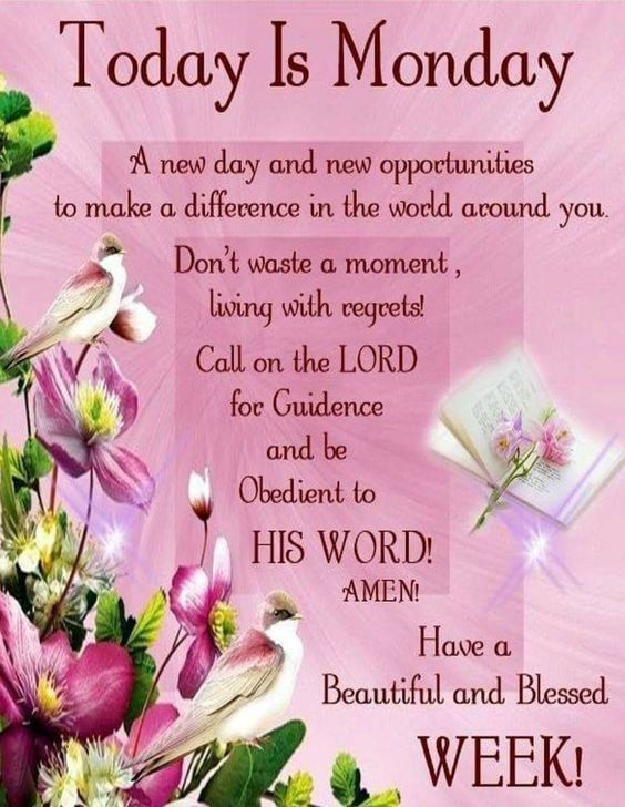 today-is-monday-pictures-photos-and-images-for-facebook-tumblr