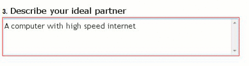 Describe your ideal partner