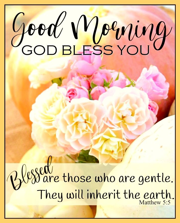 Good Morning Blessing With Beautiful Flowers Pictures, Photos, and
