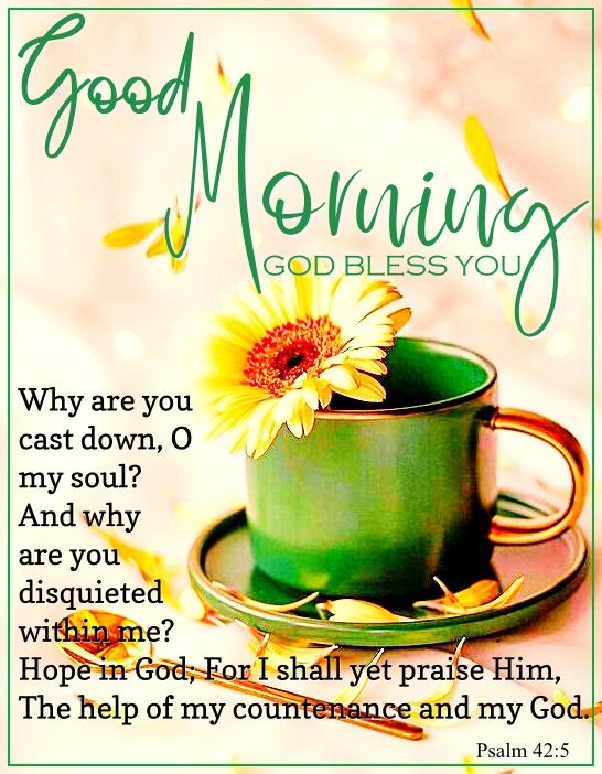 Sunflower Good Morning Blessing Pictures, Photos, and Images for