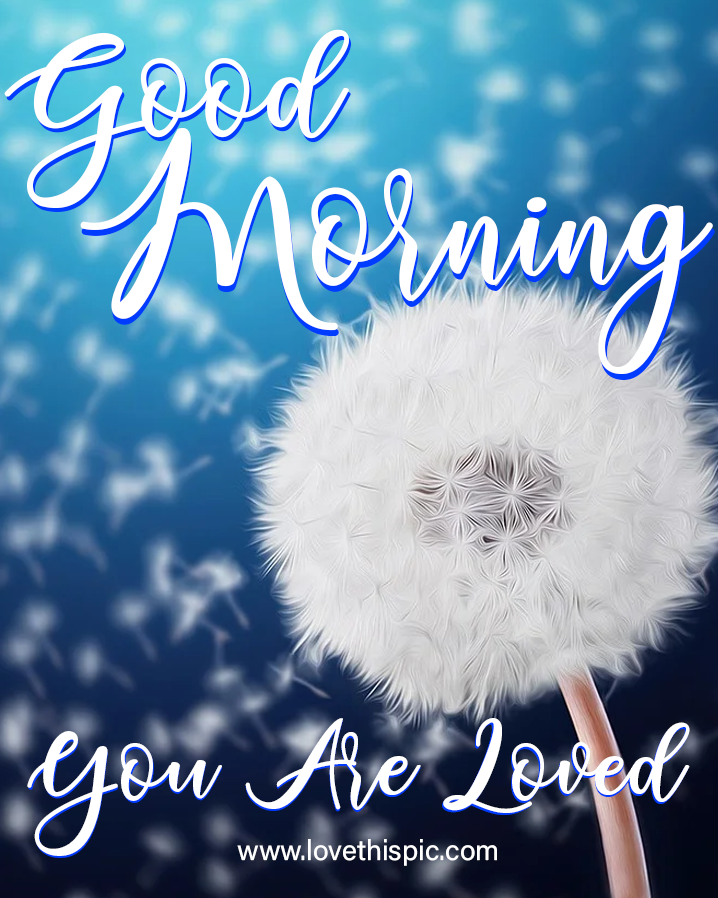 Cute Dandelion Good Morning, You Are Loved Pictures, Photos, and