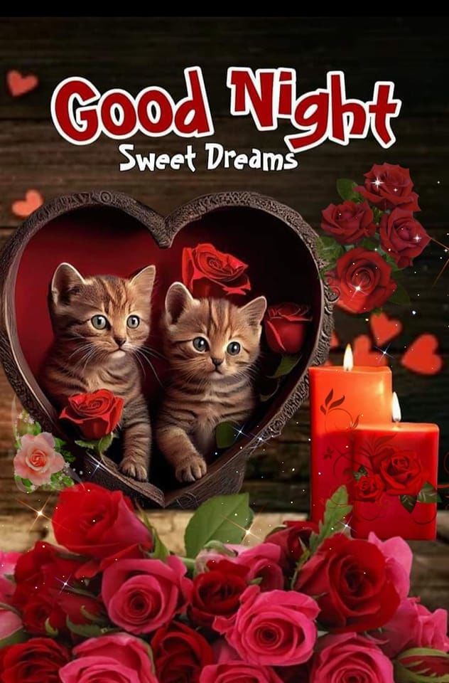 Rose & Kittens Good Night & Sweet Dreams Pictures, Photos, and Images