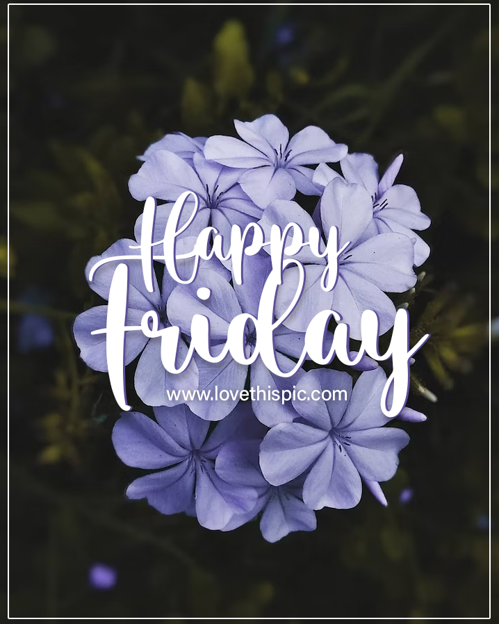 Happy Friday With Lavender Flowers Pictures, Photos, and Images for