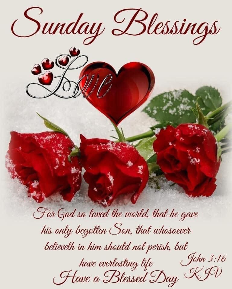 Sunday Blessings With Love & Roses Pictures, Photos, and Images for