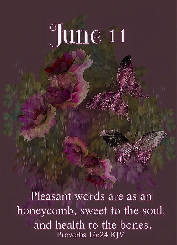 June 11 Bible Verse Pleasant Words Are As An Sweet To The
