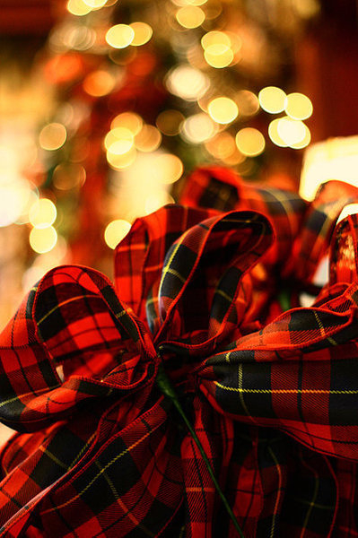 Plaid Ribbon Plaid Ribbon