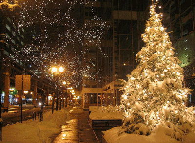Christmas Trees