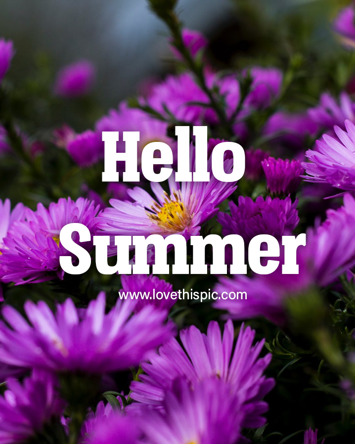 Violent Flower - Hello Summer Pictures, Photos, and Images for Facebook ...