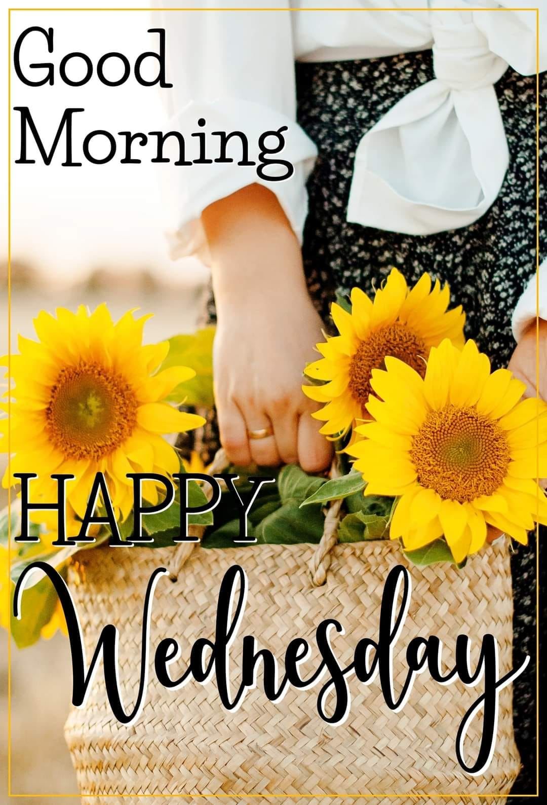 Sunflower Good Morning, Happy Wednesday Pictures, Photos, and Images for Facebook, Tumblr