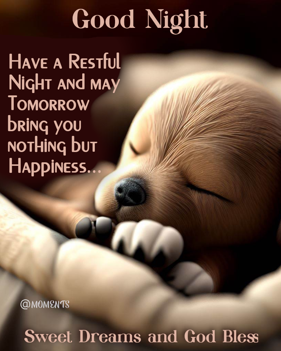 Sleeping Puppy - Good Night And Have A Restful Night Pictures, Photos