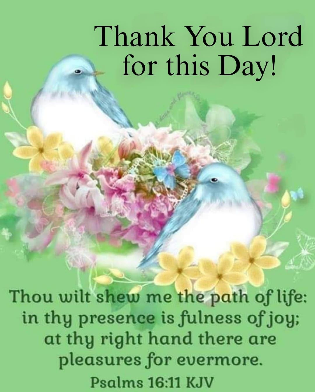 thank-you-lord-for-this-day-psalms-16-11-pictures-photos-and-images
