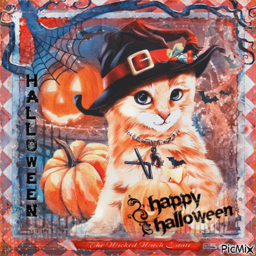 Happy Halloween Cat Pictures, Photos, and Images for Facebook, Tumblr