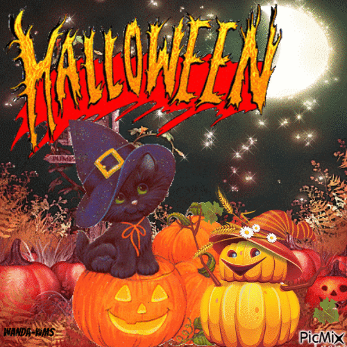 Cute Black Cat - Halloween Gif Pictures, Photos, and Images for