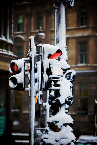 Snow on the traffic lights Snow on the traffic lights