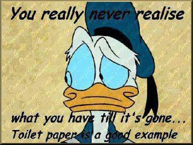 you never realize what you have