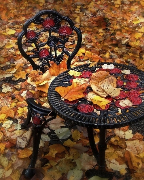 Outdoor patio with leaves Outdoor patio with leaves