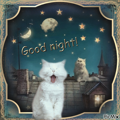 Roof Cats Good Night Gif Pictures, Photos, and Images for Facebook