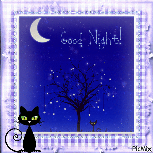 Good Night Black Cat Gif Pictures, Photos, and Images for Facebook