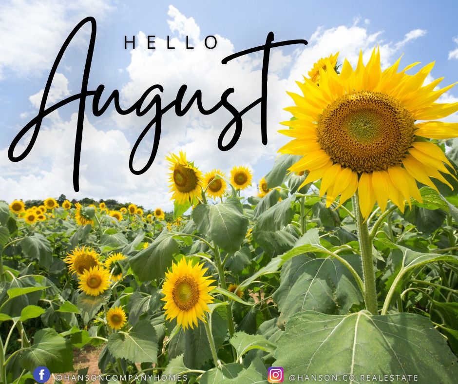 Hello August Sunflower Field Pictures Photos and Images for Facebook