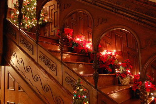 Elegant holiday lights Elegant holiday lights