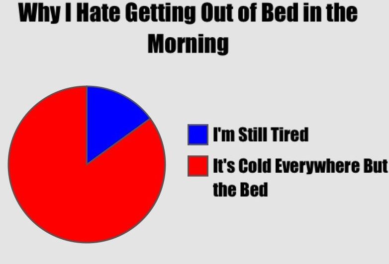 Why I Hate Getting Out Of Bed In The Morning Pictures, Photos, and Images for Facebook, Tumblr