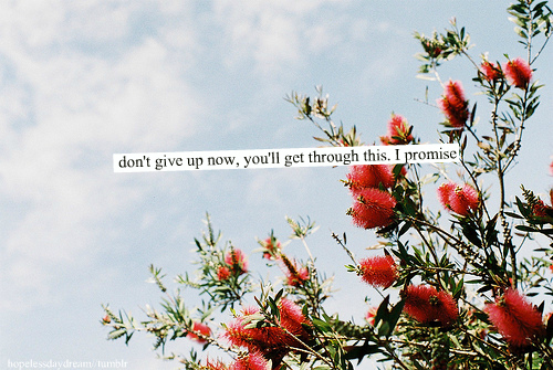 Dont give up now