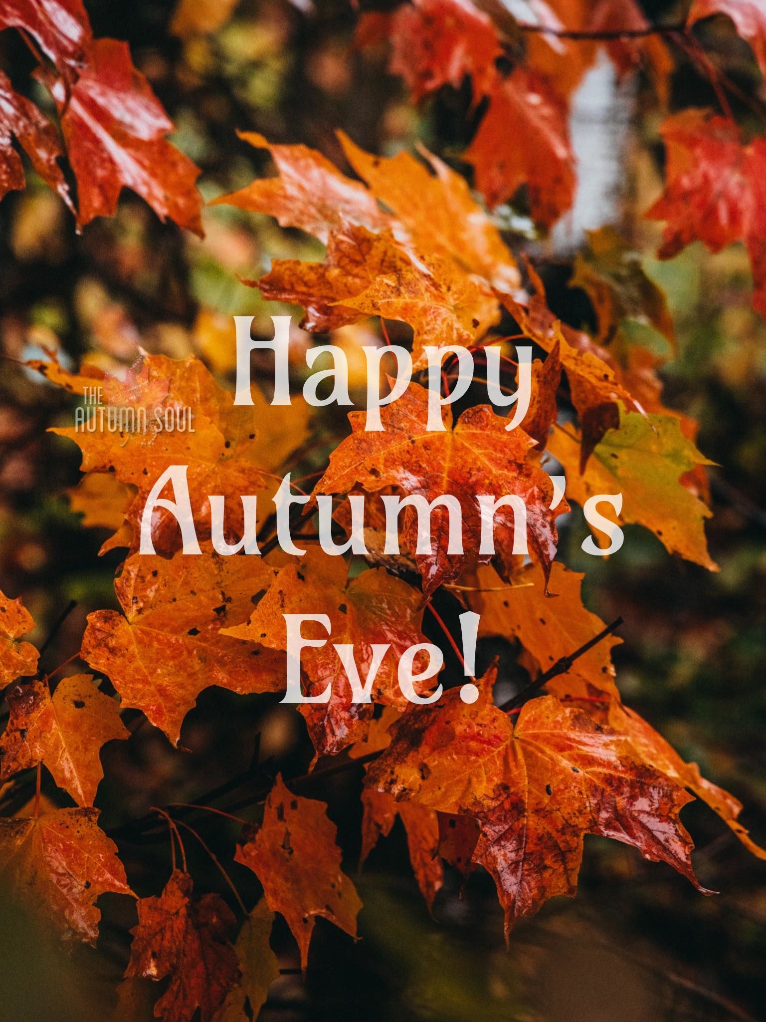 Happy Autumn's Eve! Pictures, Photos, and Images for Facebook, Tumblr,  Pinterest, and Twitter