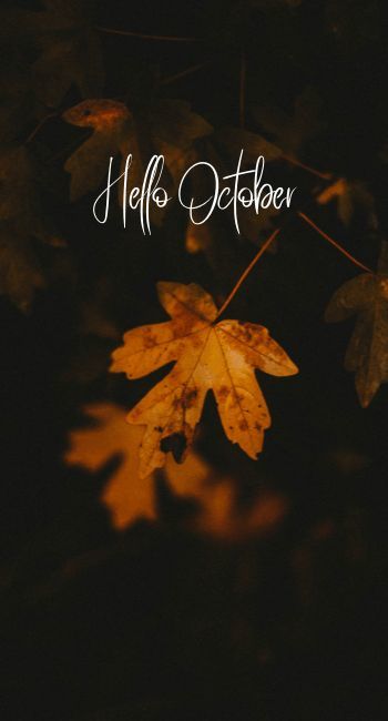 Hello October Background With Leaf Pictures, Photos, and Images for