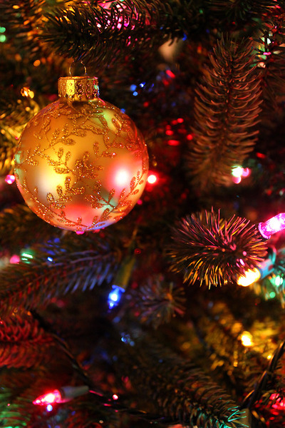 Christmas ornament and pinecones