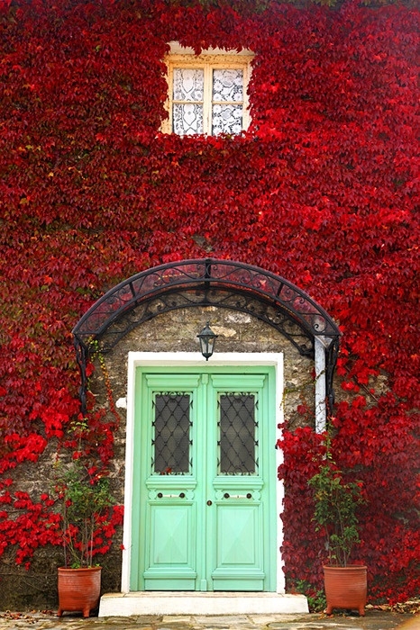 Red Foliage Covering Building Red Foliage Covering Building