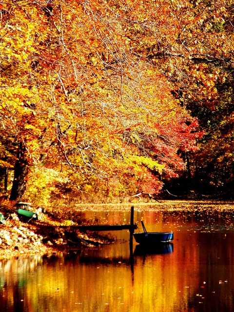 Golden Lake Golden Lake