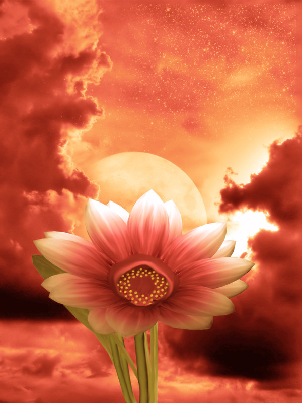 Fantasy Flower