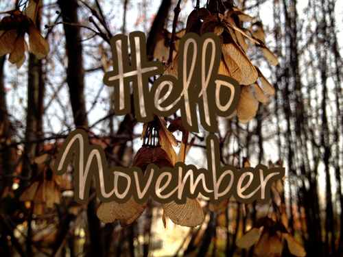 Hello November
