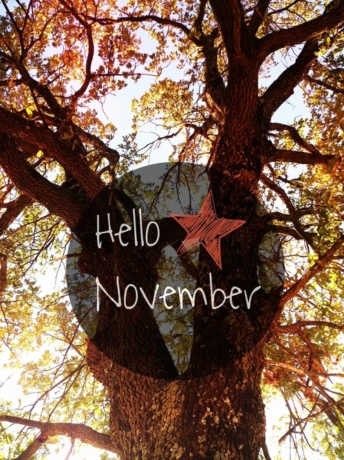 Hello November Hello November
