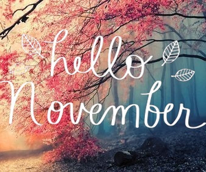Hello November