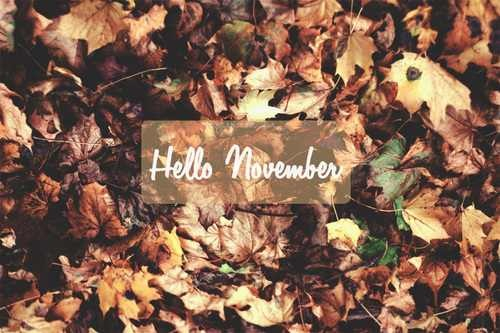 Hello November Hello November