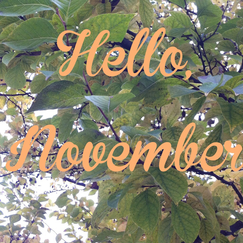 Hello November
