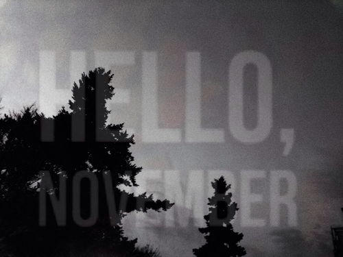 Hello November