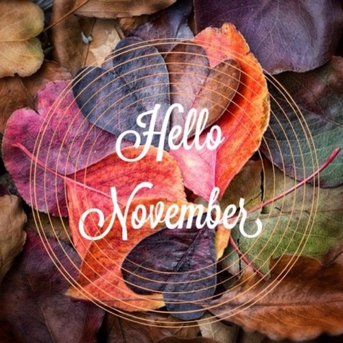 Hello November