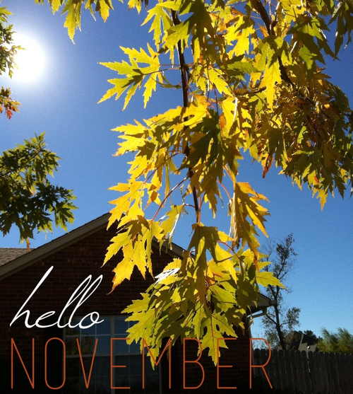 Hello November