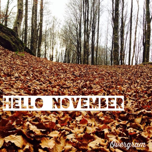 Hello November