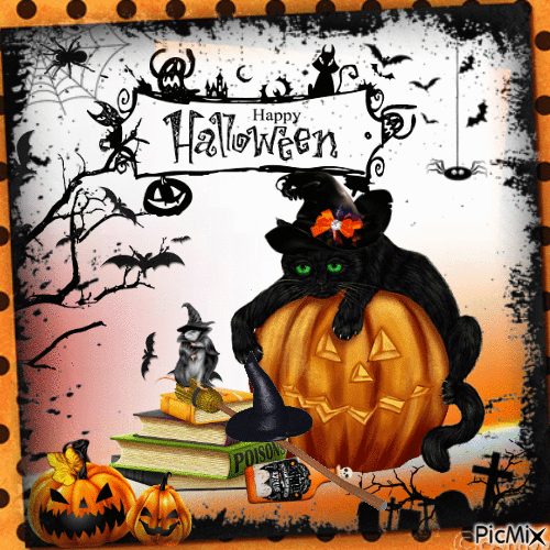 Black Cat & Crawling Spider Happy Halloween Pictures, Photos, and